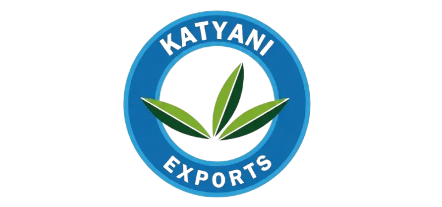 logo 20